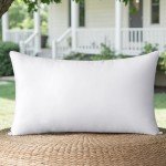MIULEE 12x20 Outdoor Water-Resistant Pillow Insert