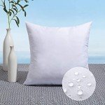 MIULEE 18x18 Water-Resistant Outdoor Pillow Insert