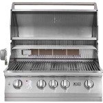 Lion 32" Natural Gas Grill for Outdoor Cooking