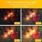 50FT Waterproof Outdoor String Lights with Dimmable Bulbs