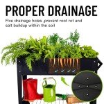 LEETOLLA Outdoor Raised Herb Garden Planter Box