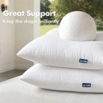 MIULEE 18x18 Water-Resistant Outdoor Pillow Insert