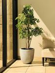 Kante 18" Round Concrete Planter for Home Garden