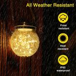 ROSHWEY Solar Lanterns 2 Pack - Outdoor Decor