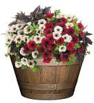 Distressed Oak Whiskey Barrel Planter, 20.5