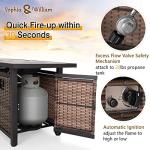 Sophia & William 56 Inch Outdoor Gas Fire Pit