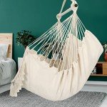 Hammock Chair with Cushions and Hardware Kit