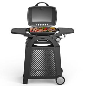Portable Propane Gas Grill for Patio and Travel