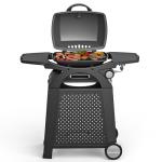 Portable Propane Gas Grill for Patio and Travel