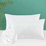 Codi 12x20 Outdoor Lumbar Pillow Inserts - Set of 2
