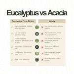 Franklin 9-Piece Teak Patio Dining Set