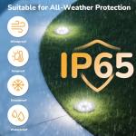 12-Pack Waterproof Solar Garden Lights for Outdoors