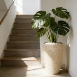 Set of 2 Tall Round 9 Gallon Planters