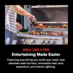 Blaze 32-Inch Stainless Steel Natural Gas Grill