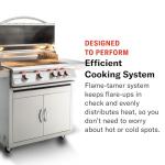 Blaze 32-Inch Stainless Steel Natural Gas Grill