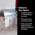 Blaze 32-Inch Stainless Steel Natural Gas Grill