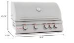 Blaze 32-Inch Stainless Steel Natural Gas Grill