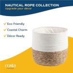 Majesty Palm Tree in Premium Decor Planter