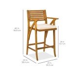 Acacia Wood Outdoor Bar Stools with Cushions - Set of 2