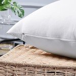 Set of 4 Waterproof Outdoor Throw Pillow Inserts