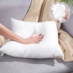Set of 4 Waterproof Outdoor Throw Pillow Inserts