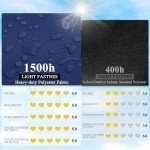 Royal Blue Outdoor Chair Cushion Set of 4