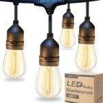 48FT LED Outdoor String Lights with Vintage Bulbs