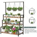3-Tier Indoor/Outdoor Plant Stand Rack