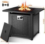 30" Propane Fire Pit Table with Lid and Cover