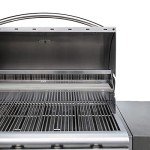 Blaze Prelude 32" 4-Burner Natural Gas Grill