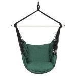 Highwild Hanging Rope Swing Hammock Chair with Cushions