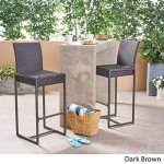 Kelly Outdoor Wicker Barstool Set of 2 - Dark Brown
