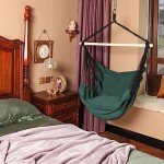 Highwild Hanging Rope Swing Hammock Chair with Cushions