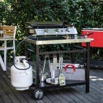 Movable Stainless Steel Dining Cart with Double Shelf