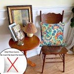 Set of 2 Fade-Resistant 18"x18" Patio Pillow Covers