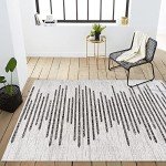 Zolak Bohemian Stripe Area Rug 5x8