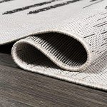 Zolak Bohemian Stripe Area Rug 5x8