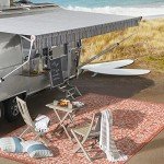 Medallion Textured Indoor/Outdoor Area Rug, Red/Taupe