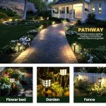 12 Pack LED Solar Outdoor Lights for Patios