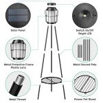 2 Pack Solar Outdoor Lights with Plant Stands