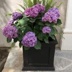 Mayne Fairfield 20-Inch Black Planter