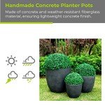 Kante Set of 3 Round Concrete Planters