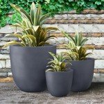Kante Set of 3 Round Concrete Planters