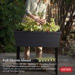 Keter Urban Bloomer 12.7 Gallon Herb Planter