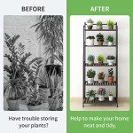 5-Tier Metal Plant Stand for Indoor/Outdoor Use