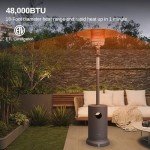 EAST OAK 48,000 BTU Bronze Patio Heater