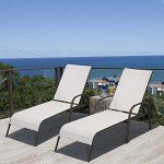 2-Pack Adjustable Grey Patio Lounge Chairs