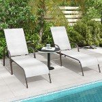 2-Pack Adjustable Grey Patio Lounge Chairs