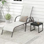 2-Pack Adjustable Grey Patio Lounge Chairs