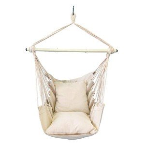 Highwild Hanging Hammock Chair with Cushions